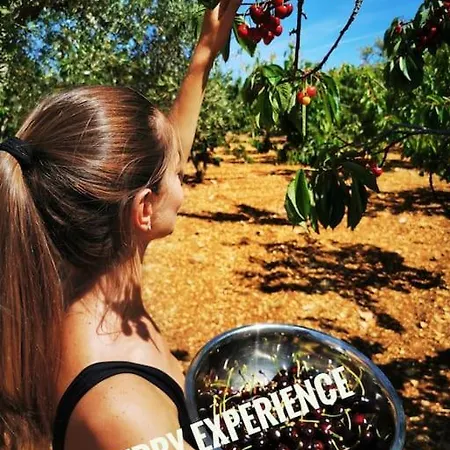 Dimora Le Mura Antiche Apartman Conversano